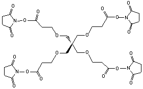 wpe28.gif (2253 bytes)