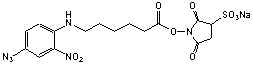 wpe1.jpg (2911 bytes)