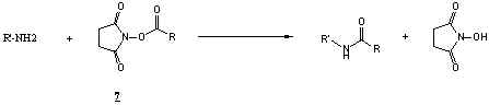wpeB.jpg (3935 bytes)